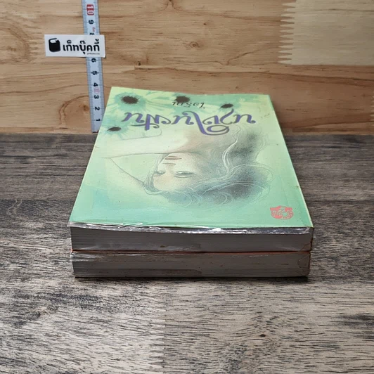 หนังสือ นางในฝัน 2 เล่มจบ รูปที่ 5