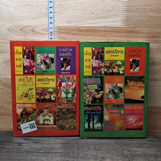 หนังสือ ทัณฑ์รัก 2 เล่มจบ รูปที่ 2