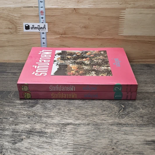 หนังสือ รักที่ปลายฟ้า 2 เล่มจบ รูปที่ 3
