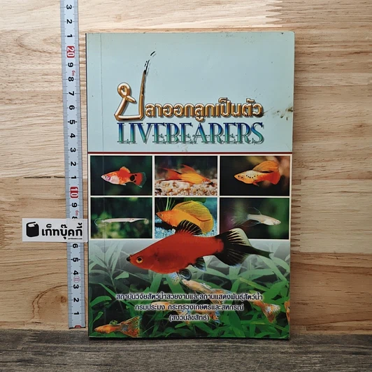 ปลาออกลูกเป็นตัว Livebearers รูปที่ 1