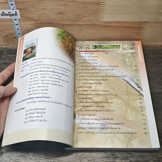 ปลาออกลูกเป็นตัว Livebearers รูปที่ 6