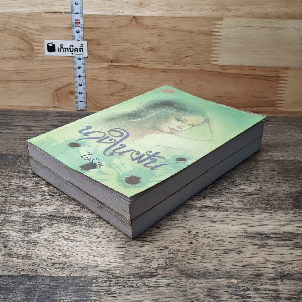 หนังสือ นางในฝัน 2 เล่มจบ รูปที่ 4