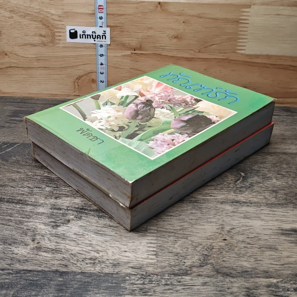 หนังสือ ทัณฑ์รัก 2 เล่มจบ รูปที่ 4