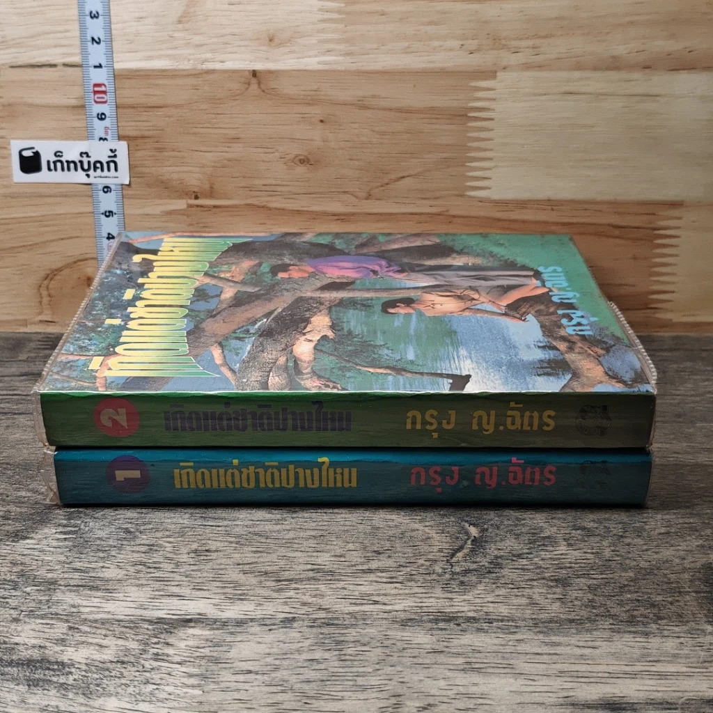 หนังสือ เกิดแต่ชาติปางไหน 2 เล่มจบ รูปที่ 3