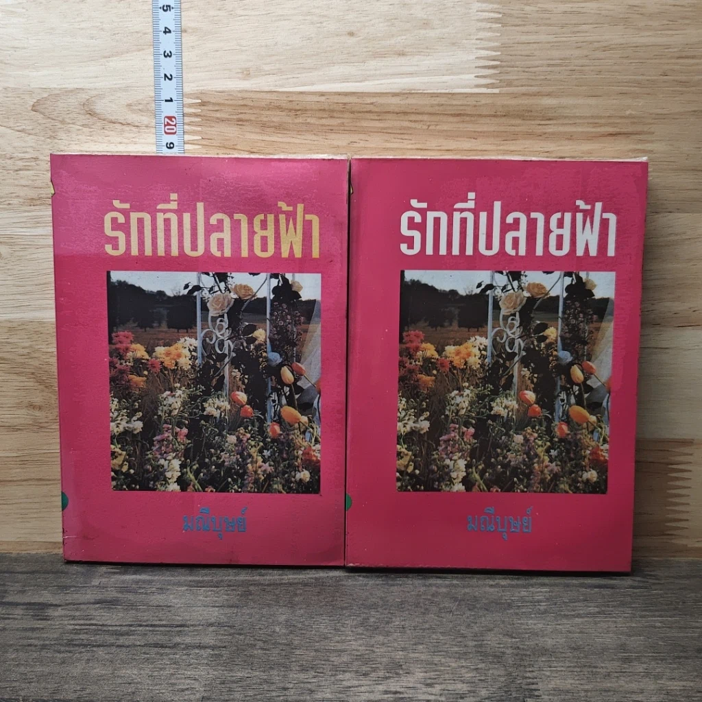 หนังสือ รักที่ปลายฟ้า 2 เล่มจบ รูปที่ 1