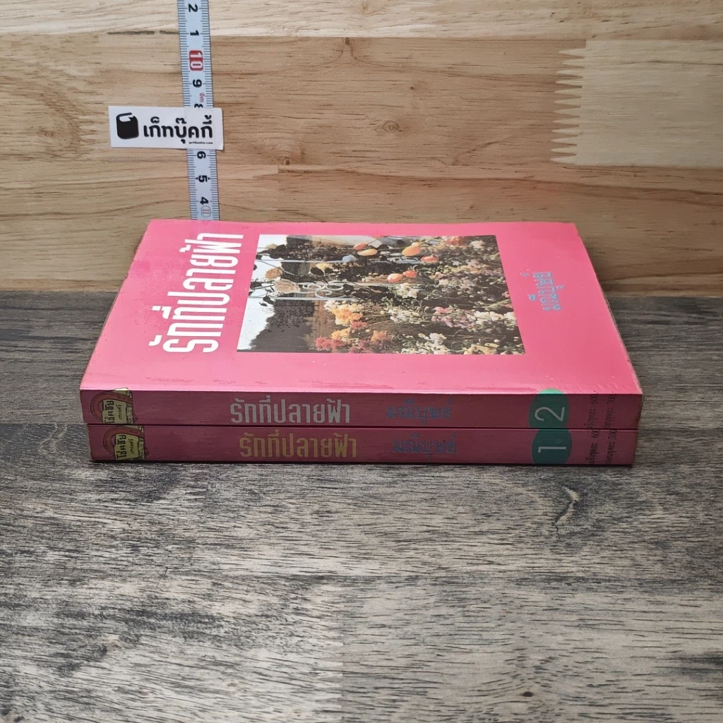 หนังสือ รักที่ปลายฟ้า 2 เล่มจบ รูปที่ 3