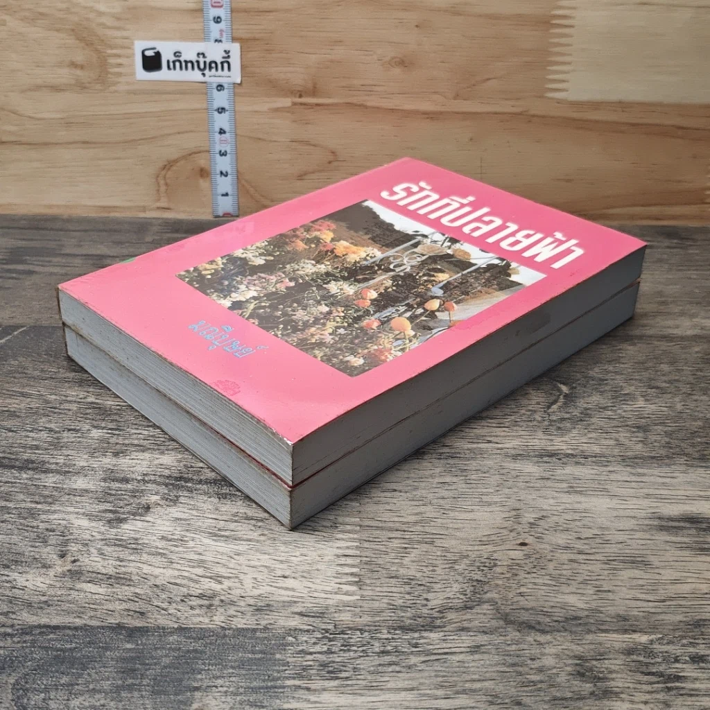 หนังสือ รักที่ปลายฟ้า 2 เล่มจบ รูปที่ 4