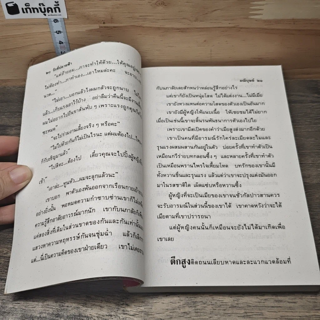 หนังสือ รักที่ปลายฟ้า 2 เล่มจบ รูปที่ 7