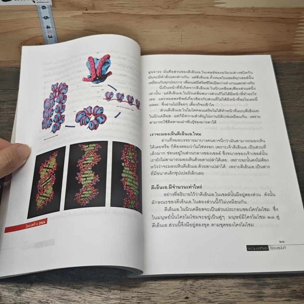 หนังสือ แกะรอย DNA รูปที่ 7