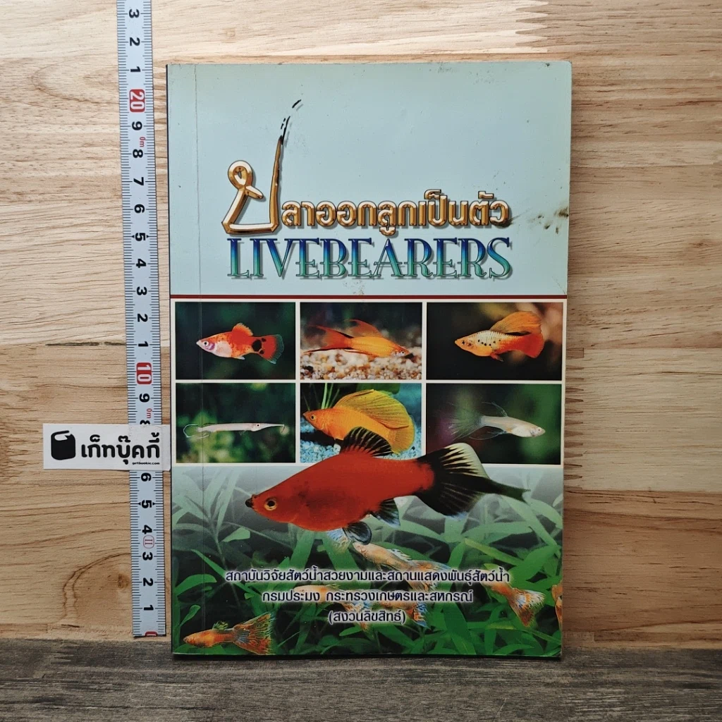 ปลาออกลูกเป็นตัว Livebearers รูปที่ 1