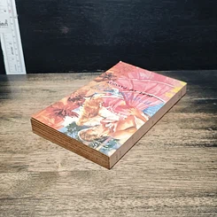 หนังสือ นิยายโรมานซ์ ทาสในเรือนใจ รูปที่ 5