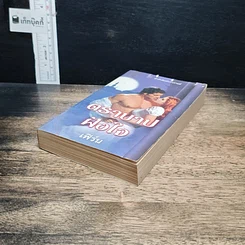 หนังสือ นิยายโรมานซ์ ตราบาปฝังใจ รูปที่ 4