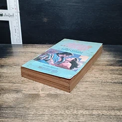 หนังสือ นิยายโรมานซ์ เจ้าบ่าวอสูร รูปที่ 4