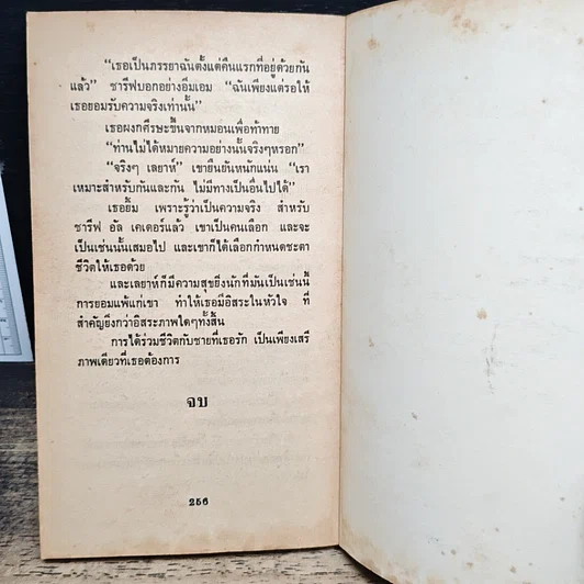 นิยายโรมานซ์ จำเลยพิศวาส รูปที่ 8