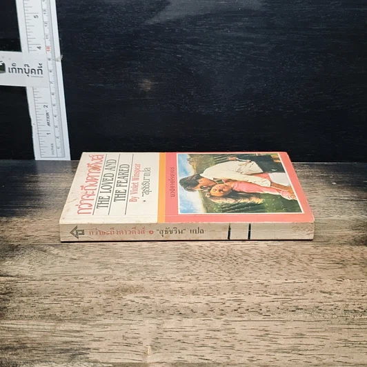 หนังสือ นิยายรักโรมานซ์ กว่าจะดึงดาวดึงส์ รูปที่ 3