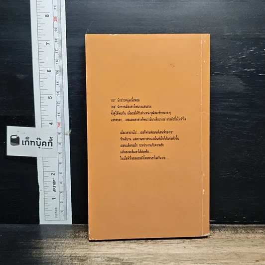 หนังสือ นิยายโรมานซ์ ไฟรักโชนแสง รูปที่ 2