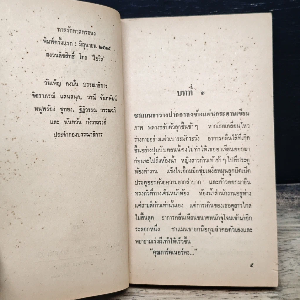 นิยายโรมานซ์ ทาสรักทาสทระนง รูปที่ 7