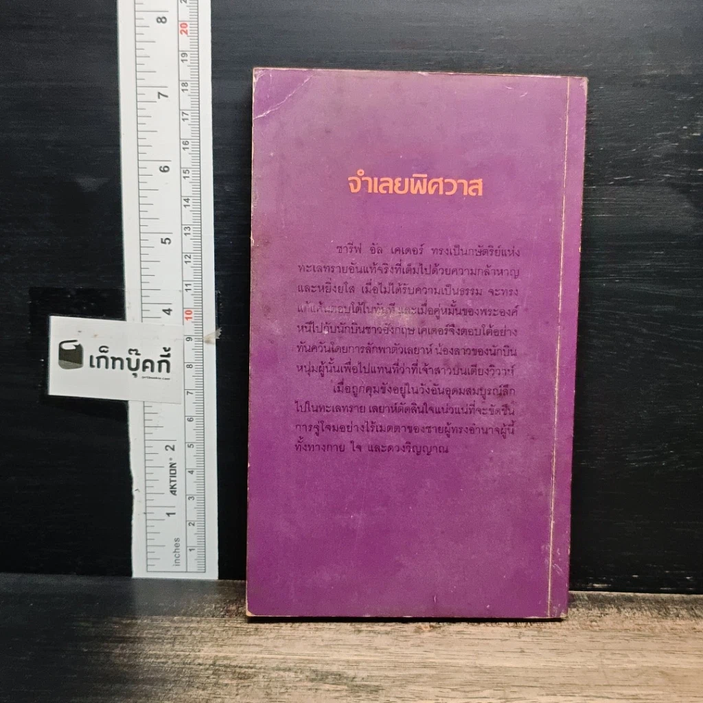นิยายโรมานซ์ จำเลยพิศวาส รูปที่ 2
