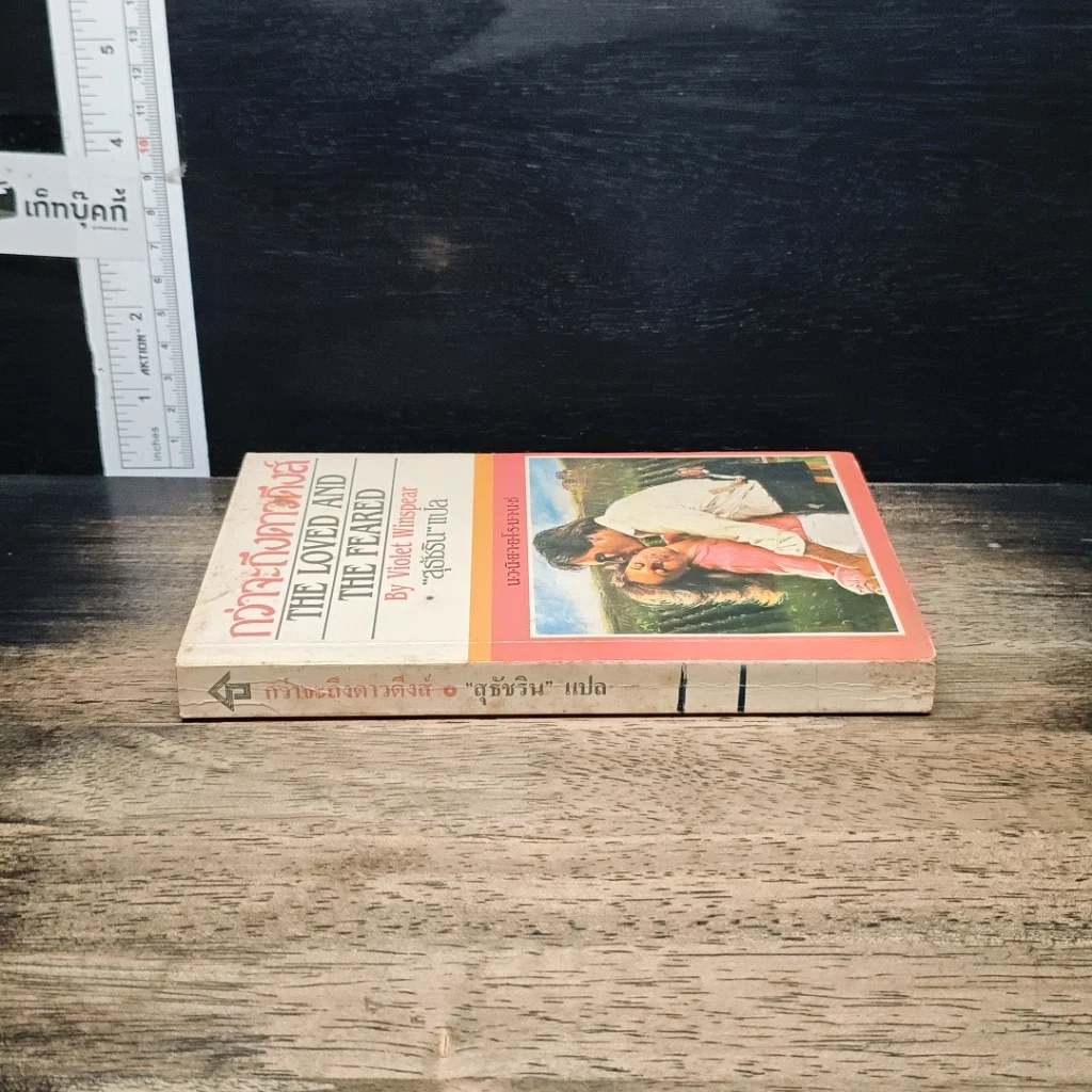 หนังสือ นิยายรักโรมานซ์ กว่าจะดึงดาวดึงส์ รูปที่ 3