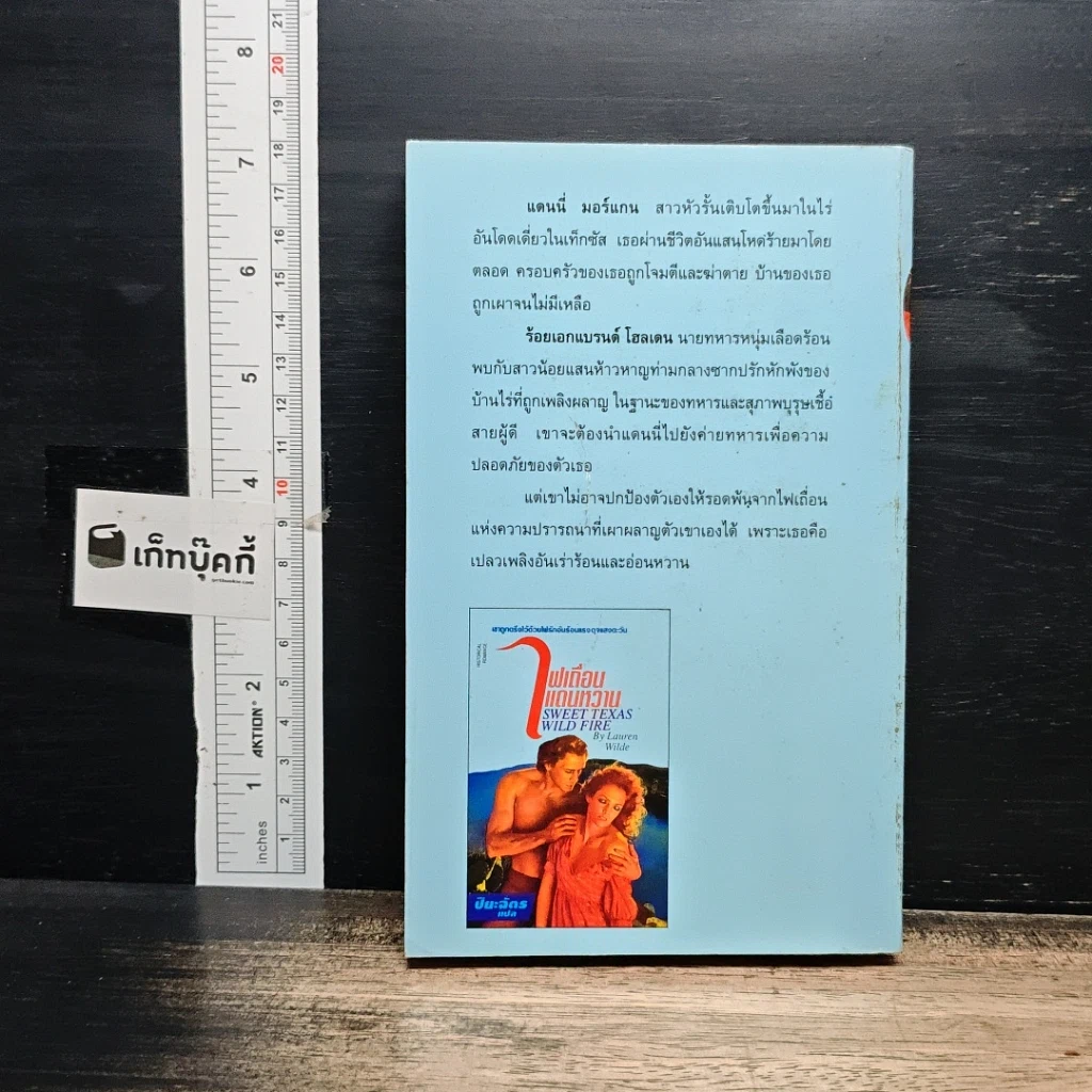 หนังสือ นิยายรักโรมานซ์ ไฟเถื่อนแดนหวาน รูปที่ 2