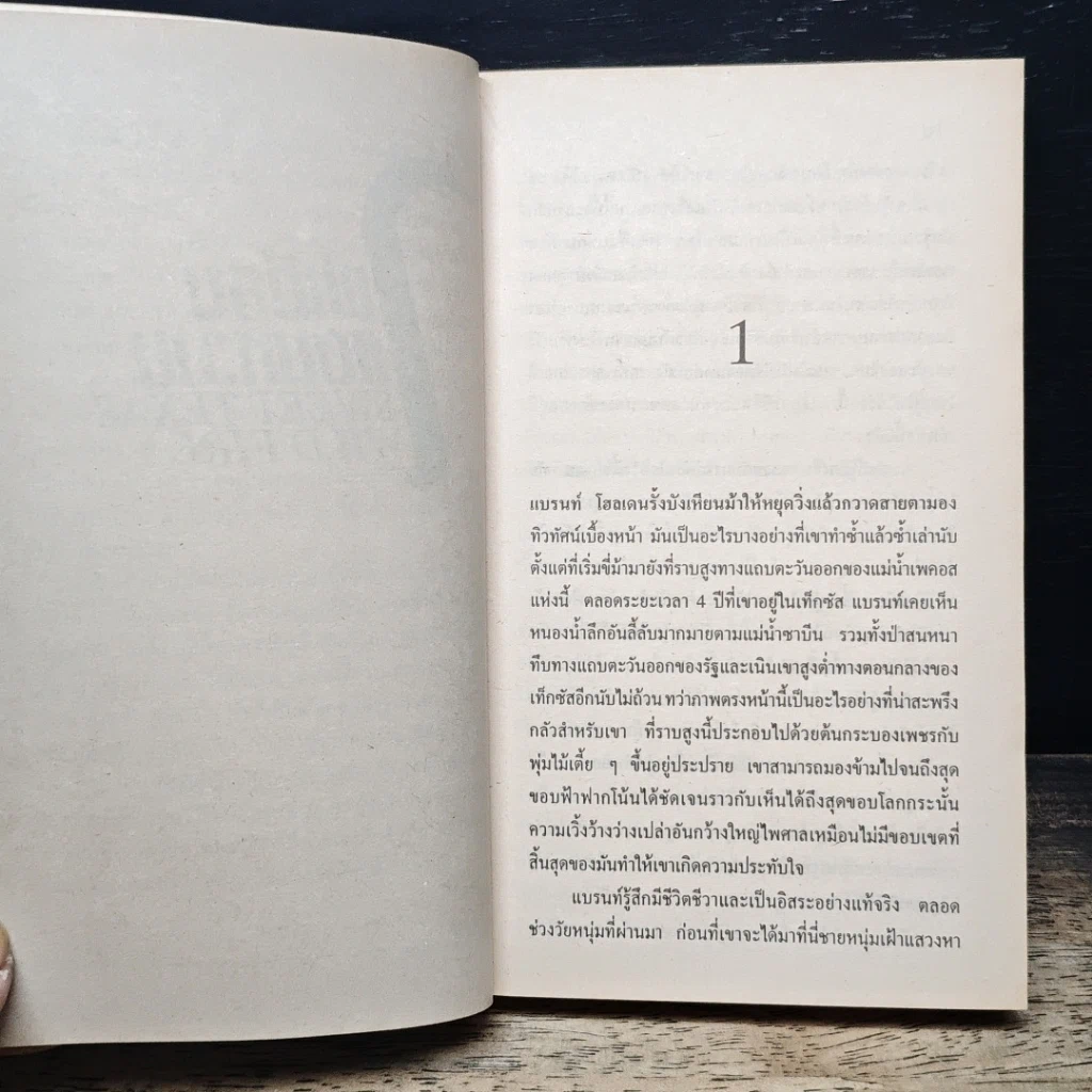 หนังสือ นิยายรักโรมานซ์ ไฟเถื่อนแดนหวาน รูปที่ 7