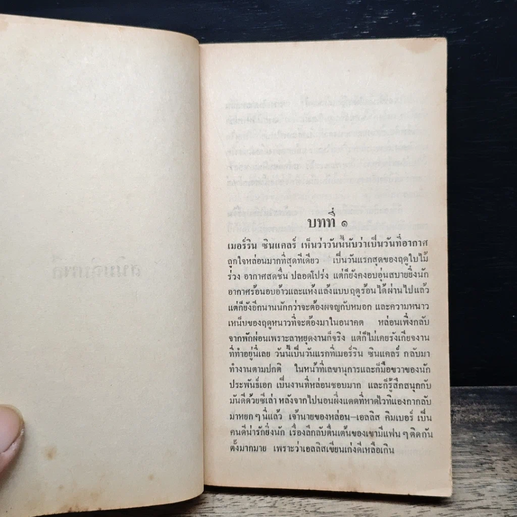 หนังสือ สนิมฉิมพลี รูปที่ 7