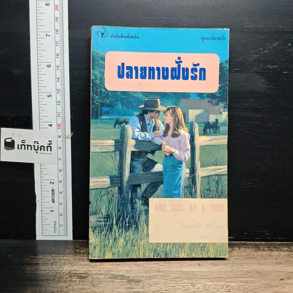 หนังสือ นิยายโรมานซ์์ ปลายทางฝั่งรัก รูปที่ 1