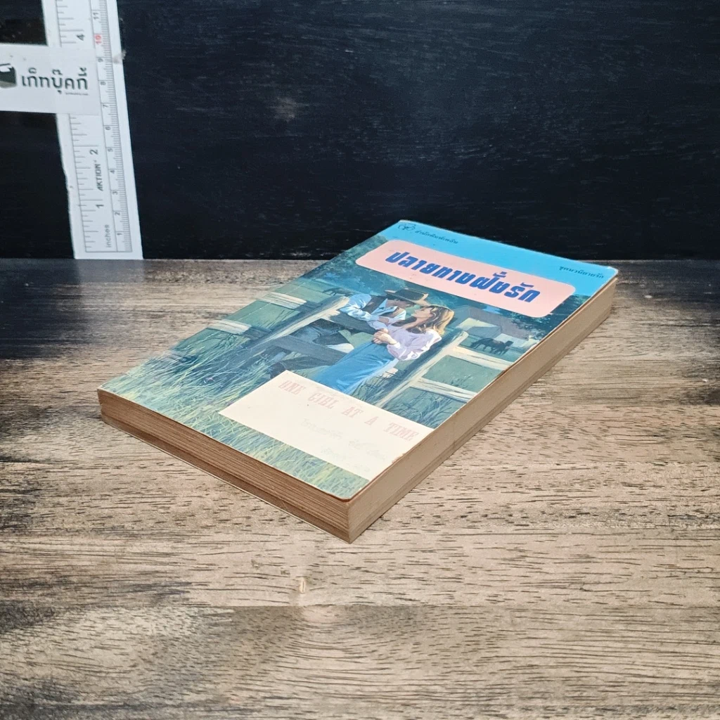 หนังสือ นิยายโรมานซ์์ ปลายทางฝั่งรัก รูปที่ 4
