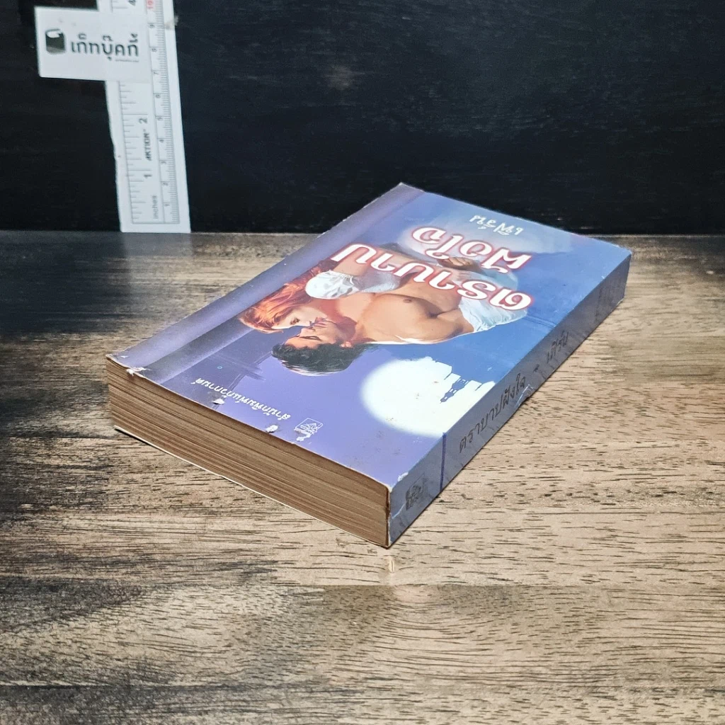 หนังสือ นิยายโรมานซ์ ตราบาปฝังใจ รูปที่ 5