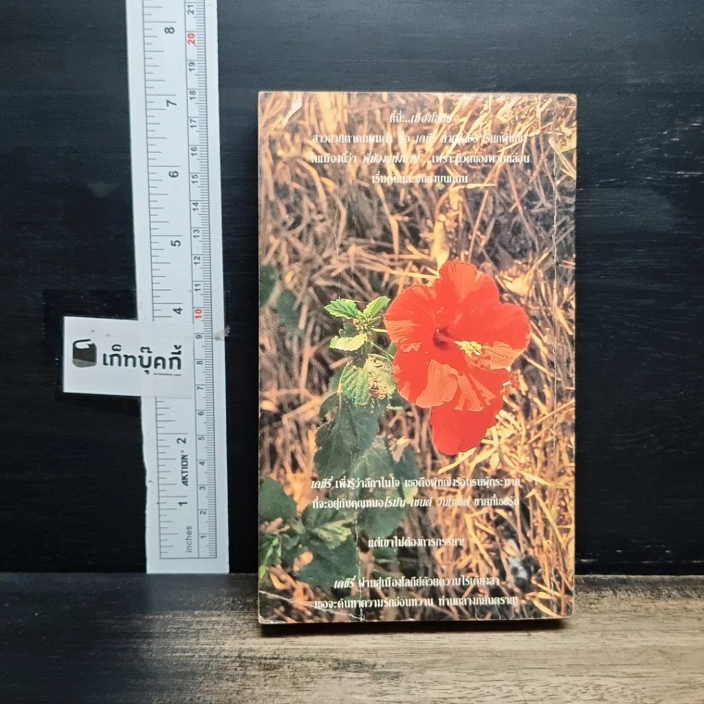 หนังสือ นิยายโรมานซ์ กำมะหยี่สีแดง รูปที่ 2