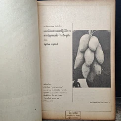 หนังสือ ฐานเกษตรกรรม ฉบับพิเศษ มะม่วง รูปที่ 6