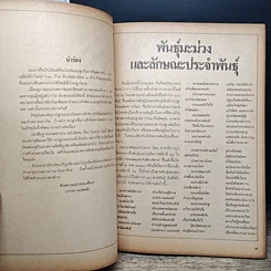 หนังสือ ฐานเกษตรกรรม ฉบับพิเศษ มะม่วง รูปที่ 7