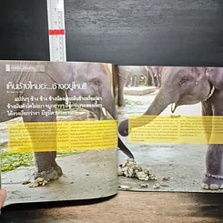 หนังสือ พรรณ ฉบับ 105 ธ.ค.-ม.ค. 2549-2550 รูปที่ 8