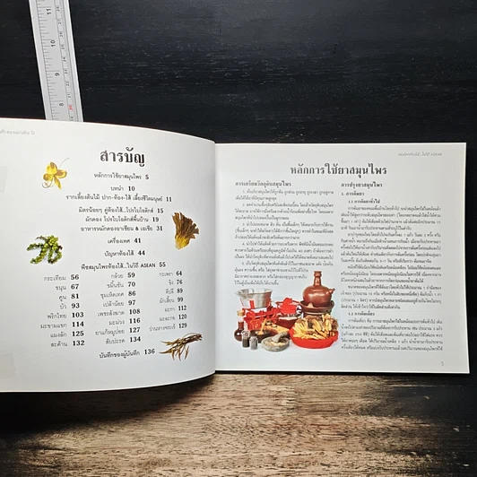 หนังสือ บันทึกของแผ่นดิน 6 สมุนไพรท้องไส้...ในวิถี รูปที่ 6