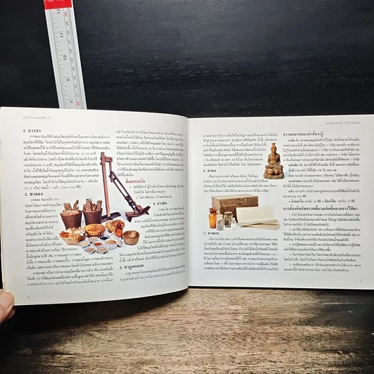 หนังสือ บันทึกของแผ่นดิน 6 สมุนไพรท้องไส้...ในวิถี รูปที่ 7