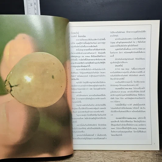 หนังสือ คุยเฟื่องเรื่องไวน์ รูปที่ 8