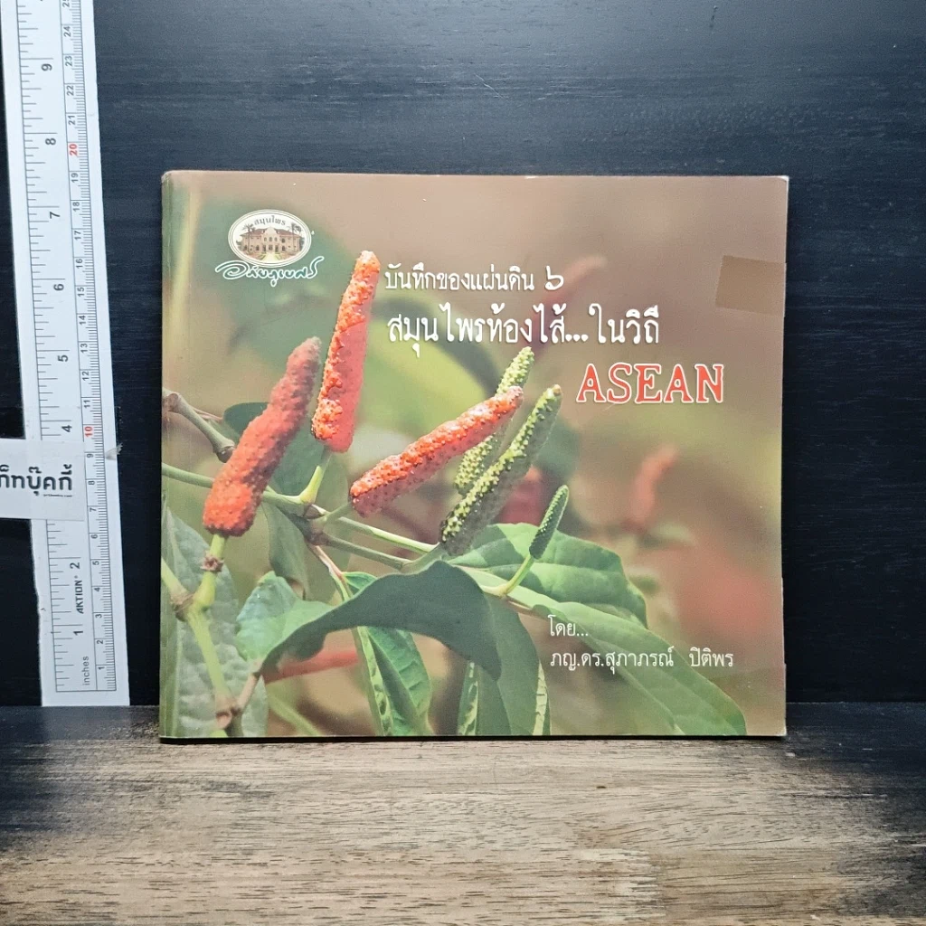 หนังสือ บันทึกของแผ่นดิน 6 สมุนไพรท้องไส้...ในวิถี รูปที่ 1
