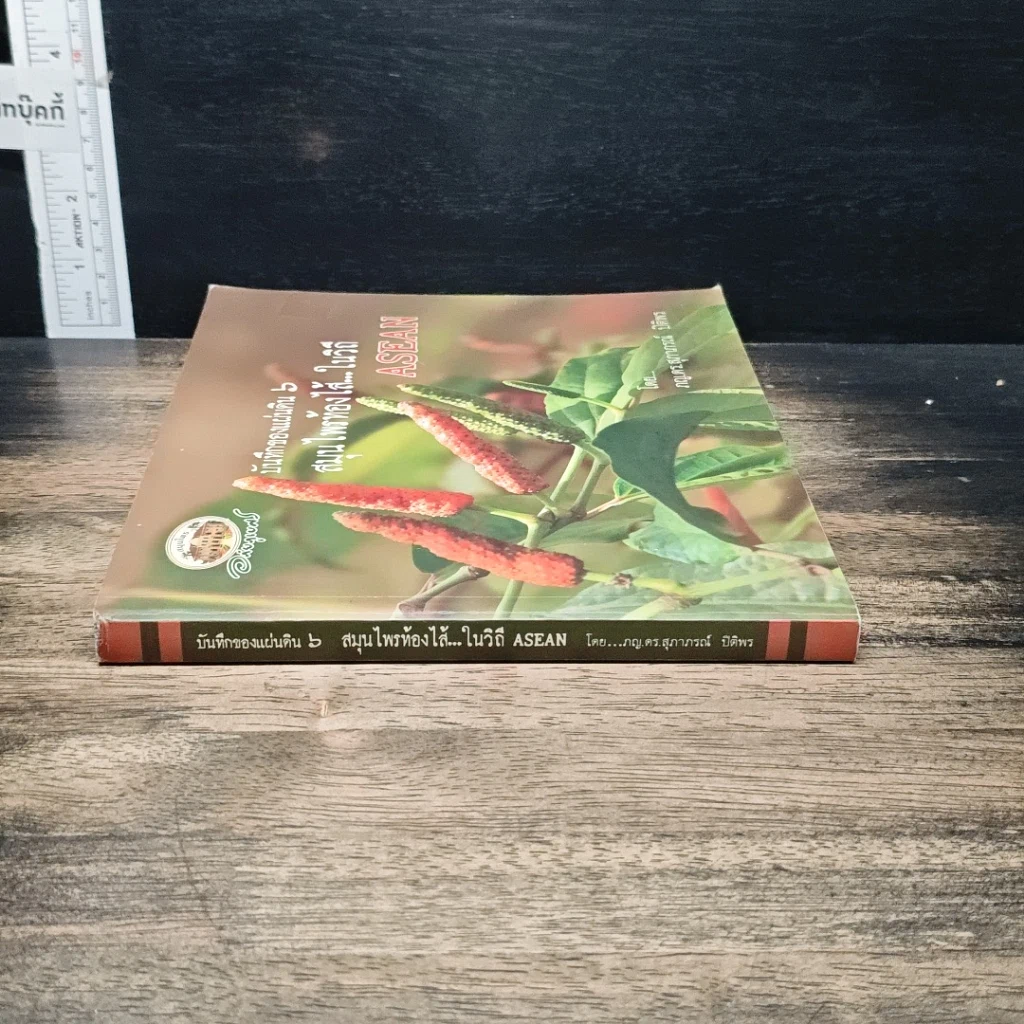 หนังสือ บันทึกของแผ่นดิน 6 สมุนไพรท้องไส้...ในวิถี รูปที่ 3
