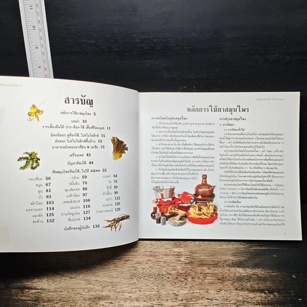 หนังสือ บันทึกของแผ่นดิน 6 สมุนไพรท้องไส้...ในวิถี รูปที่ 6