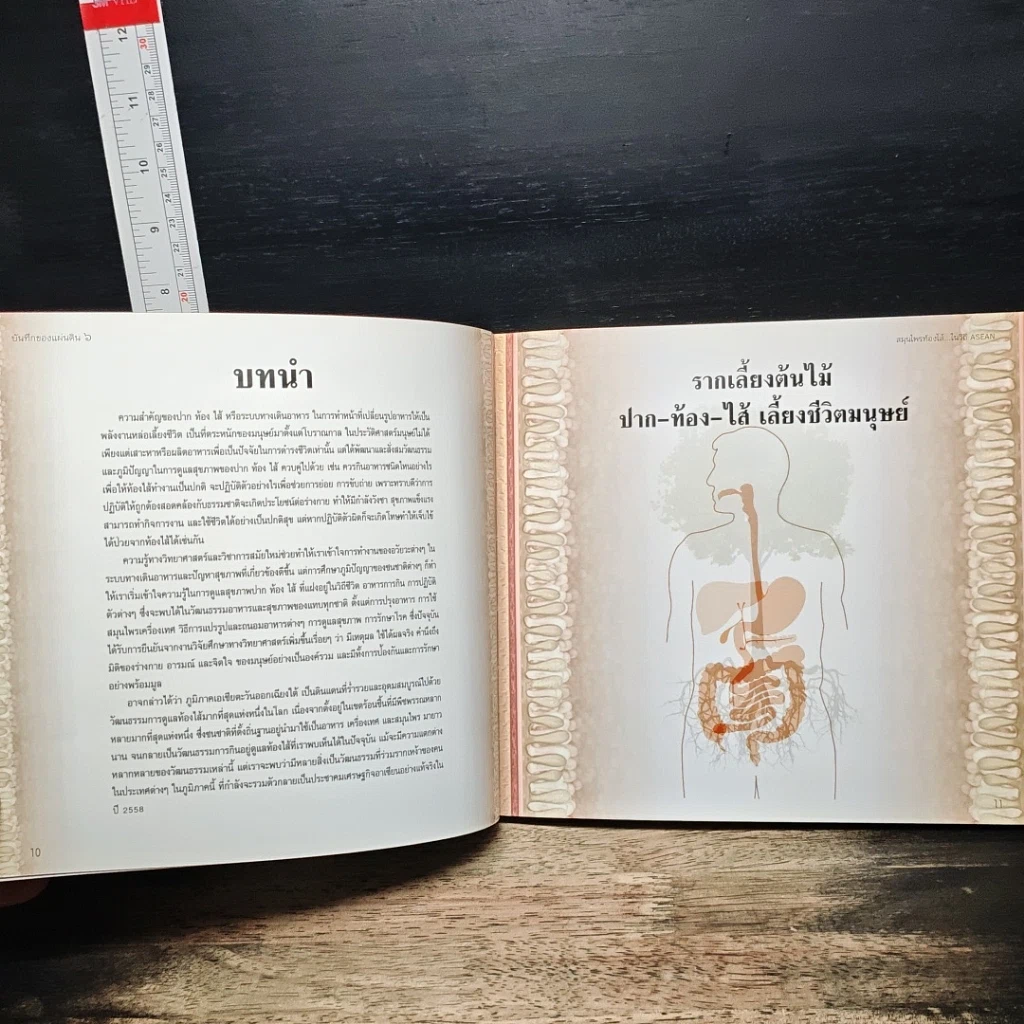 หนังสือ บันทึกของแผ่นดิน 6 สมุนไพรท้องไส้...ในวิถี รูปที่ 8