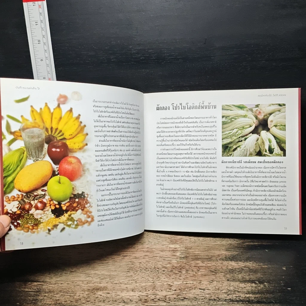 หนังสือ บันทึกของแผ่นดิน 6 สมุนไพรท้องไส้...ในวิถี รูปที่ 10