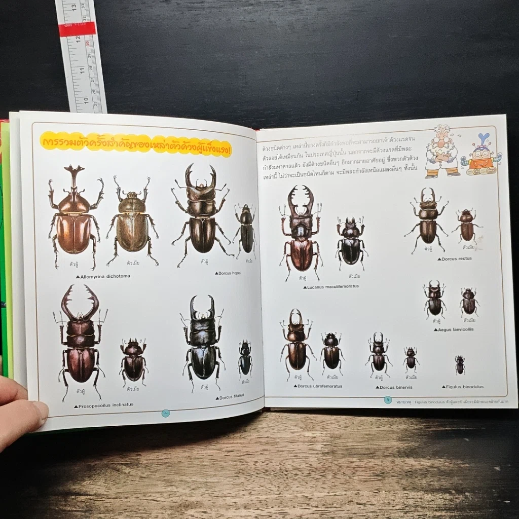 หนังสือ อันดับ 1 แมลง สัตว์ รูปที่ 8