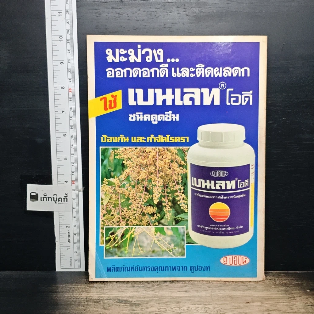 หนังสือ มะม่วง เล่ม 2 รูปที่ 2