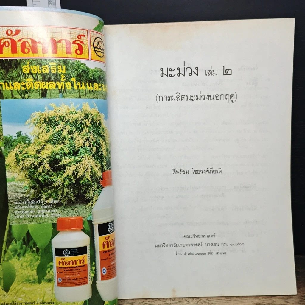 หนังสือ มะม่วง เล่ม 2 รูปที่ 6