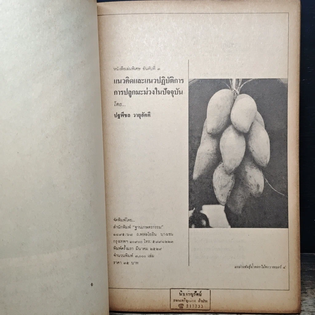 หนังสือ ฐานเกษตรกรรม ฉบับพิเศษ มะม่วง รูปที่ 6