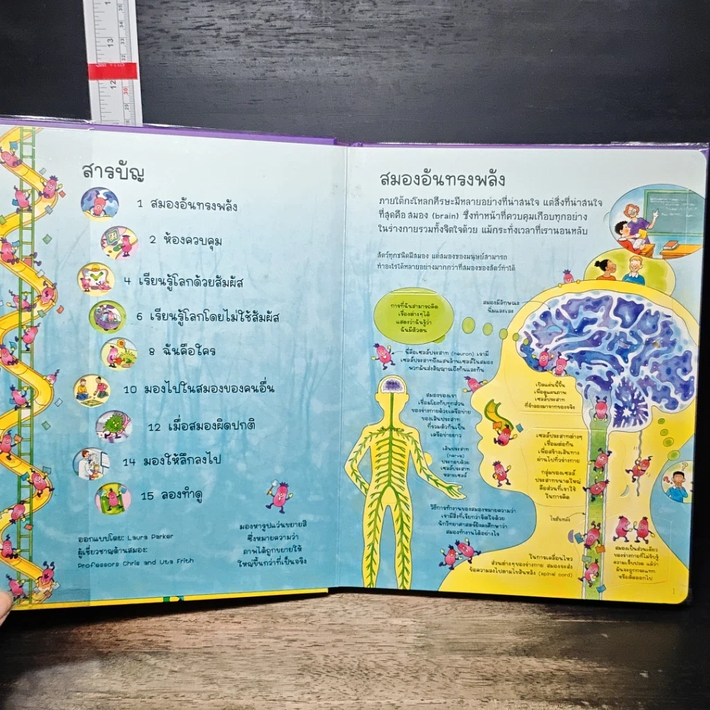 หนังสือ สนุกกับการค้นหาความรู้ข้างใน สมอง รูปที่ 6