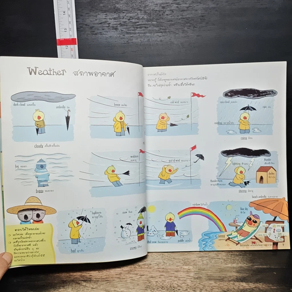 หนังสือ My Picture Word Book English-Thai รูปที่ 8