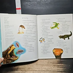 หนังสือ เด็กๆ รู้ไหมทำไม งูลอกคราบ รูปที่ 7