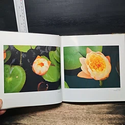 หนังสือ ปุษปสระปทุม รูปที่ 9