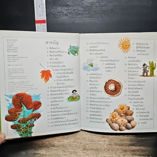 หนังสือ เด็กๆ รู้ไหมทำไม ต้นไม้มีใบ รูปที่ 6
